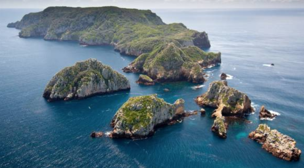 Local Dive Sites Auckland Dive HQ New Zealand